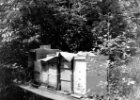 burg bienstoecke 1