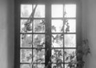 burg fenster 3