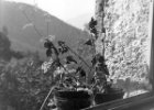 burg fenster 4