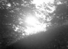 burg wiese 1